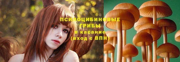 кристаллы Богородицк