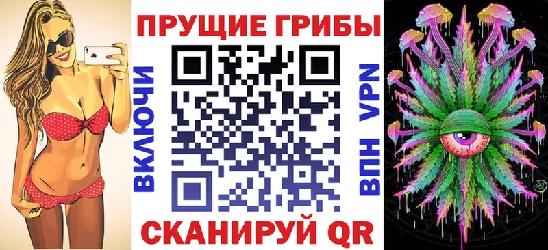 Галлюциногенные грибы мицелий  Старица 
